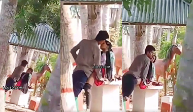 College Girl Lovers Fucking In Park Sex